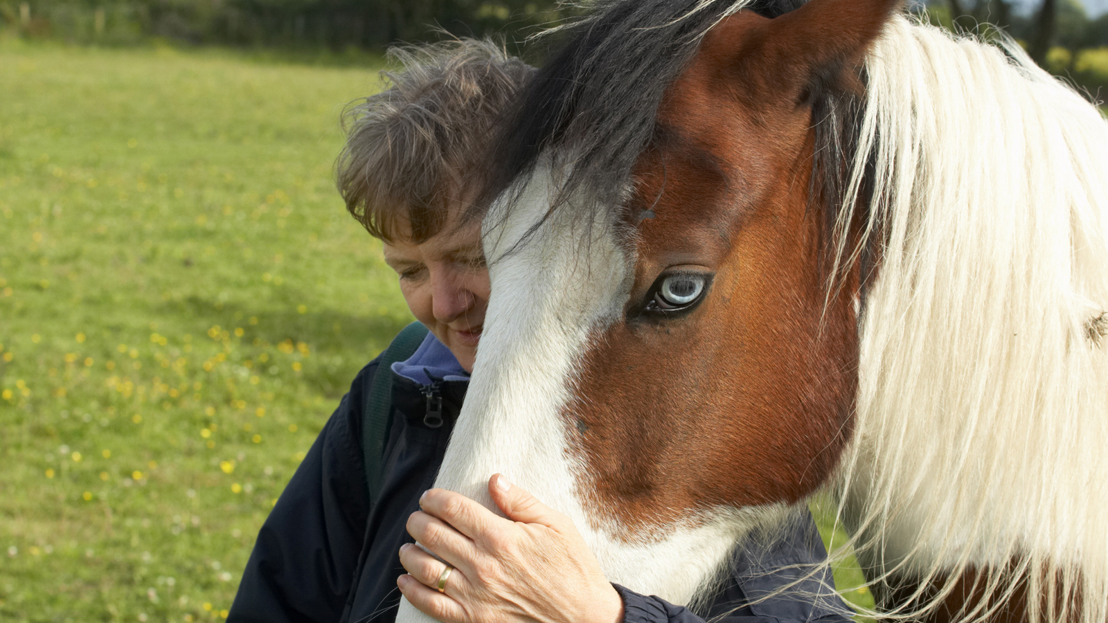 What Your Horse Is Trying To Say